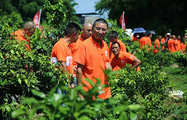 震驚：50元買一只紅蜘蛛？!——這一次，果農(nóng)們有話要說