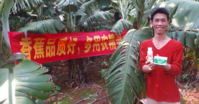 差距這么大， 是真的嗎？ 銀農(nóng)故事匯—香蕉篇